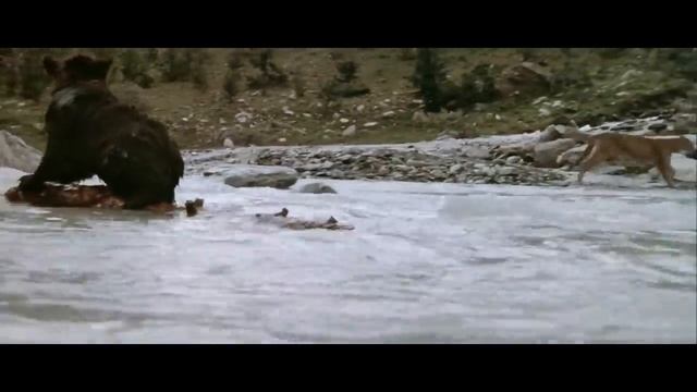 Не забывай, что Бог с тобой _ Красивая песня и клип _ Христианские песни.mp4