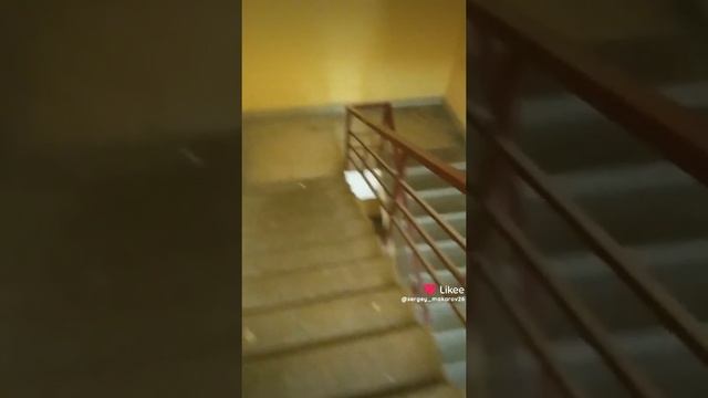 Like_7308691672039765962.mp4