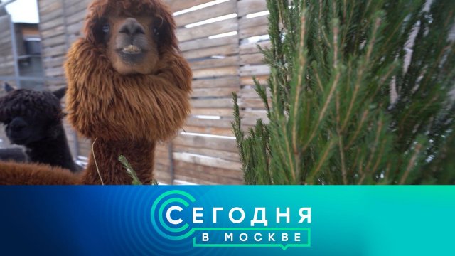 «Сегодня в Москве»: 11 января 2023 года