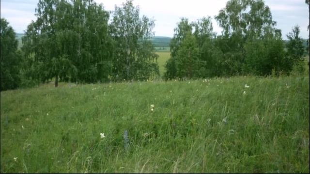 Природа Башкирии