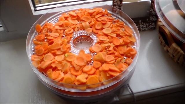 ЛУК-ПОРЕЙ Как сушить и замораживать?!!