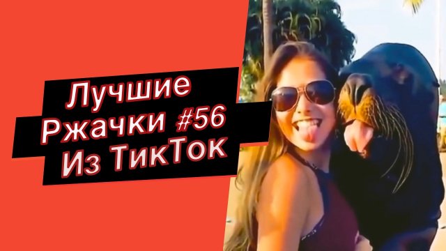 ПРИКОЛЫ ИЗ ТИК ТОК 10 МИНУТ ТИК ТОКА ТИК ТОК МЕМЫ РЖАЧКИ ИЗ ТИК ТОК ЛУЧШИЕ ПРИКОЛЫ 2022 №56