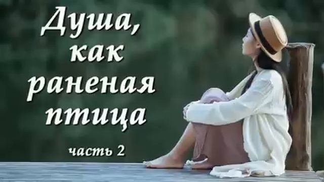 ❤️?Истории из жизни❤️?Жизненные истории. Душевные истории. Душа, как раненая птица 2