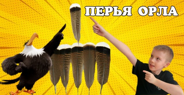 Орлиные перья. Перо орла. Устин распаковывает посылку из Китая.