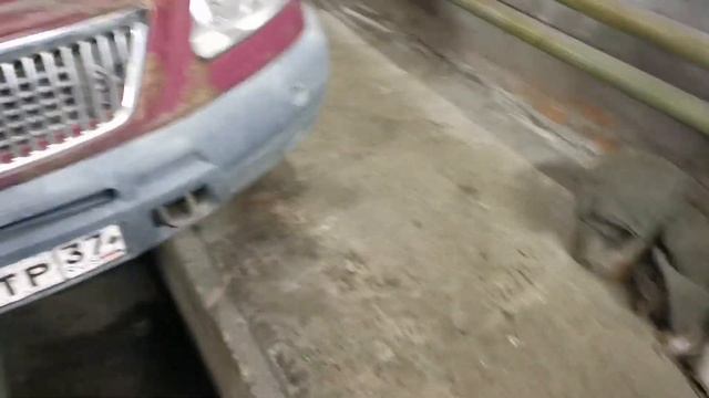 Бензонасос Газель. Поиск глюков.