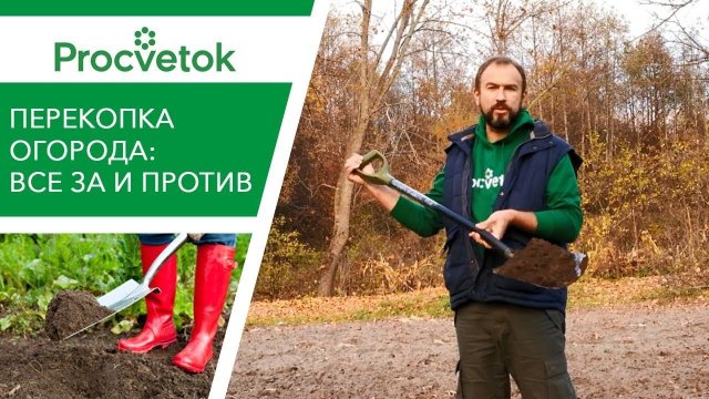 Копать или не копать огород осенью? Разберем все ЗА и ПРОТИВ