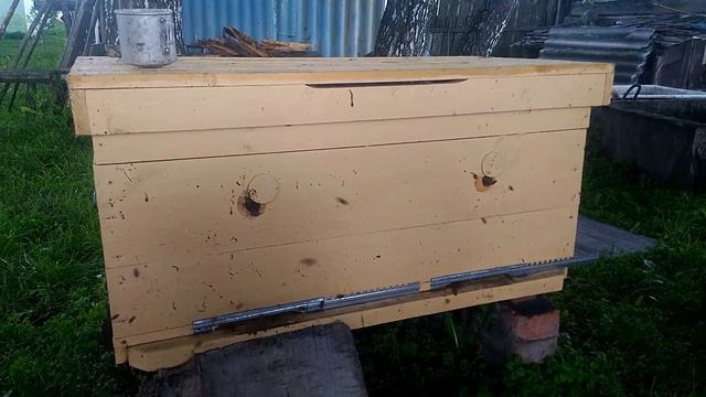 Улей-лежак,обзор