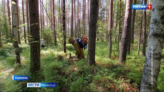 В Коряжме состоялась экспедиция по следам Великой Отечественной войны
