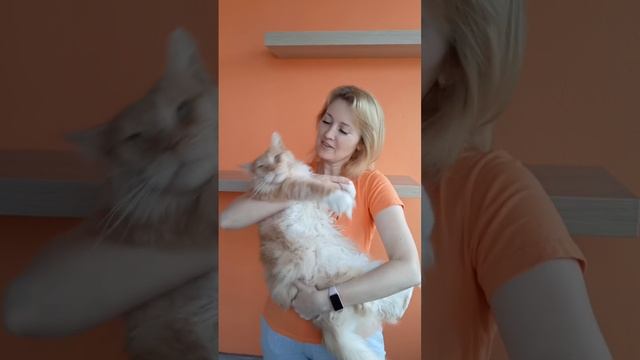 АнжелаДР