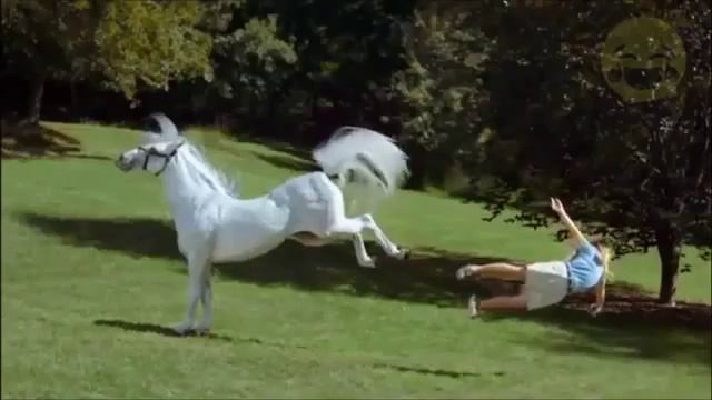 +18 ●ПРИКОЛЫ ПОД МУЗЫКУ● Музыкальные приколы или Самые угарные приколы под музыку #36