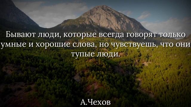 Самые Мудрые и Красивые Цитаты про Смысл Жизни. Цитаты, мудрые мысли