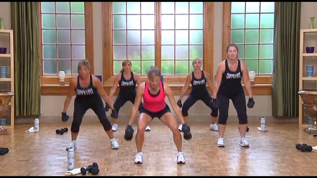 Kelly Coffey-Meyer - 30 Min to Fitness - Circuit Burn - Workout 1