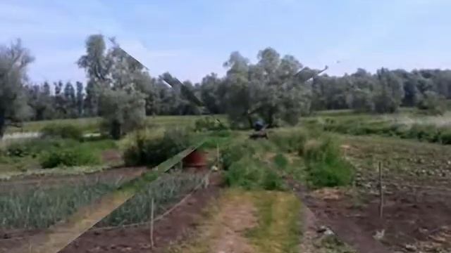 Минитрактор из мотоблока Каскад