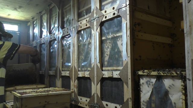 Отбираем Мёд Кассетный Павильон для Пчел Своими Руками