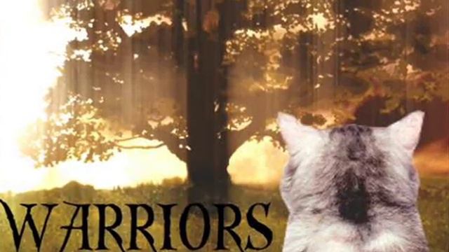 Warrior cats- This is Halloween