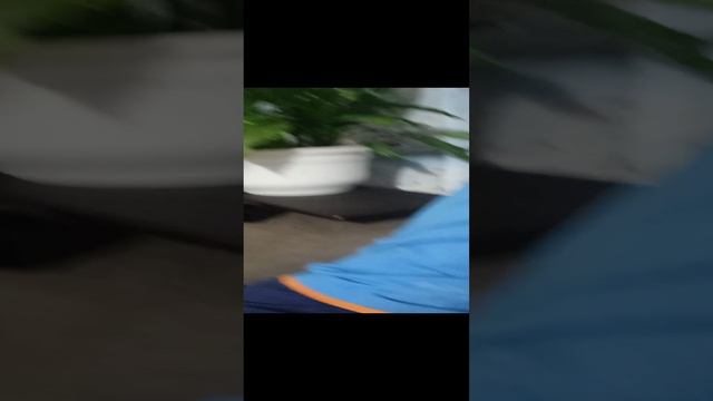 сося