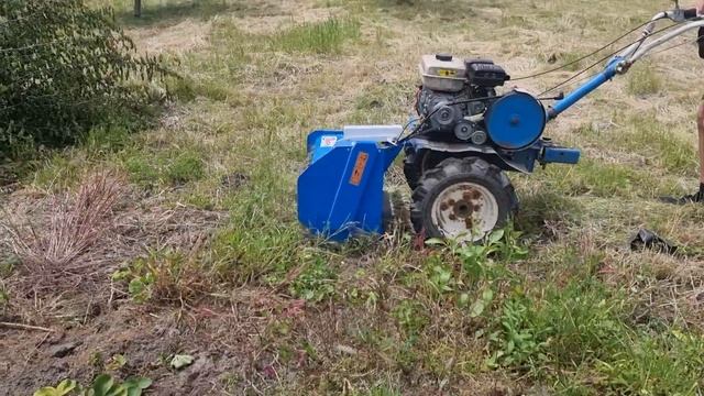 Мульчер Пахарь МБ 60 к мотоблоку Нева в работе по бурьяну.