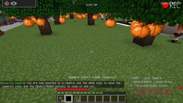 ЗАСНЯЛ ЧЕБУРАШКА на СКРЫТЫЕ КАМЕРЫ в МАЙНКРАФТ ДЕВУШКА НУБ И ПРО ВИДЕО ТРОЛЛИНГ MINECRAFT