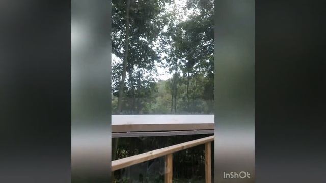 07.09.2021г. Парк «Изгиб», д.Дубки, Ярославская обл.