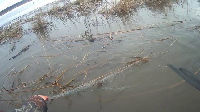 рыбалка сетями с другом весной
