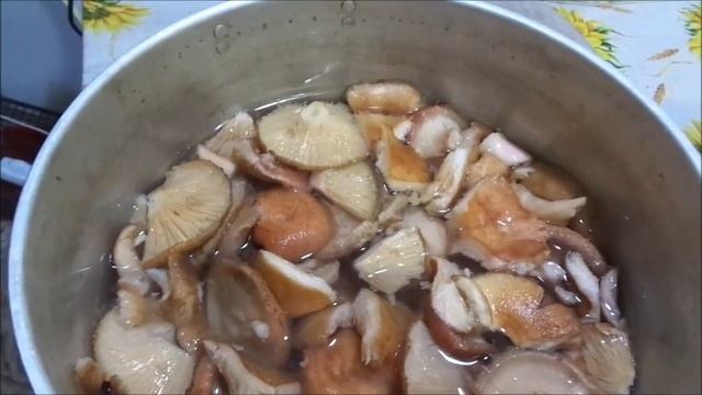 Как удалить горечь у волнушек и засолить их на зиму.