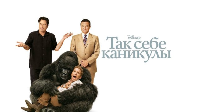 Так себе каникулы (фильм, 2009)