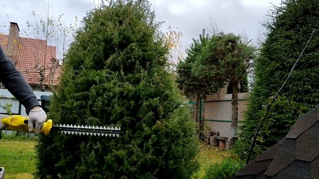 Дешёвый кусторез против дерева.