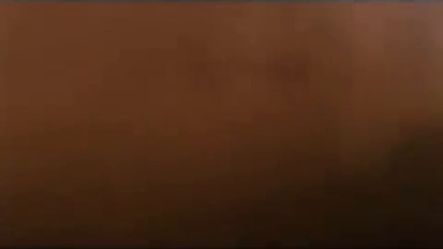 Александр Розенбаум 'Чёрный тюльпан'