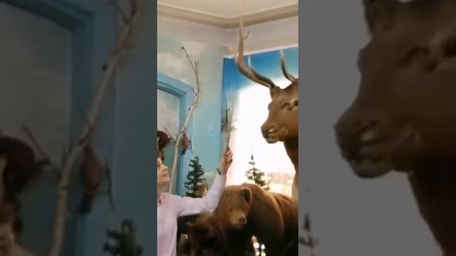 Алтайский марал