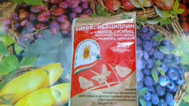 Битоксибациллин Биопрепарат от вредителей включая клеща.