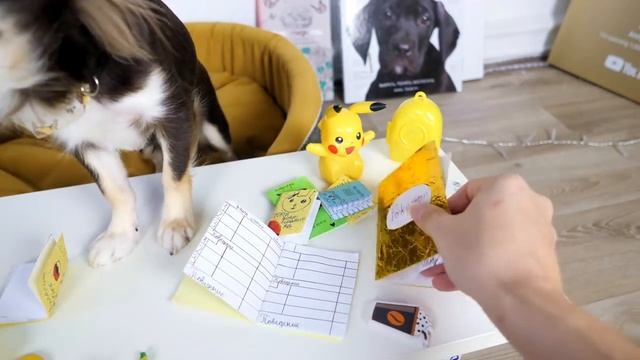 ШКОЛА КОТОВ И СОБАК ВОЛШЕБНЫЕ ПИТОМЦЫ ДВОЕЧНИКИ КИСА АЛИСА И ЮМИ ЧУ СРЫВАЮТ УРОКИ