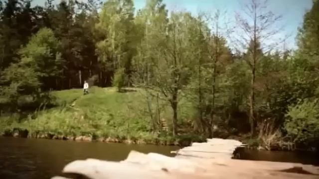 Сломанная ветка Алексей Маклаков