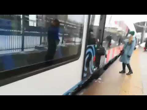МЦД-2. Ласточка. Царицыно - Перерва.