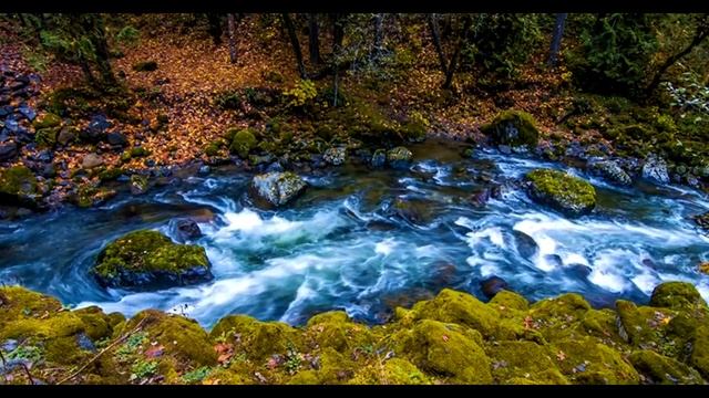 Матрица-Гаряева-от-Депрессии-и-Апатии-852-Hz-Медит.mp4