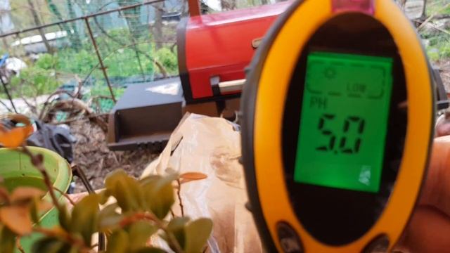 КАК определить КИСЛОТНОСТЬ ПОЧВЫ на ДАЧЕ? ТопСад