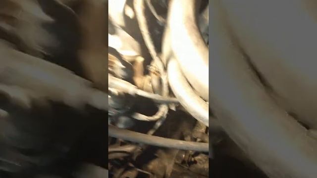 метки ГРМ passat b3 1.8