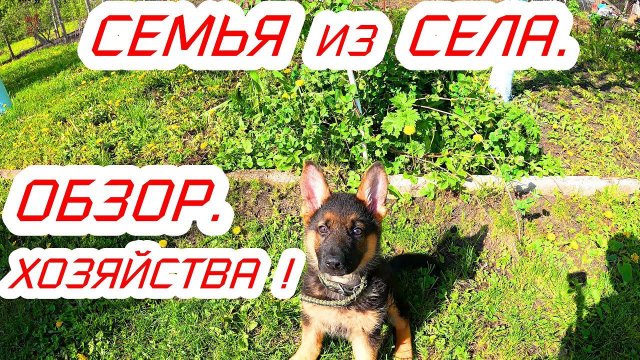 Семья из села,обзор хозяйства у нас в селе.