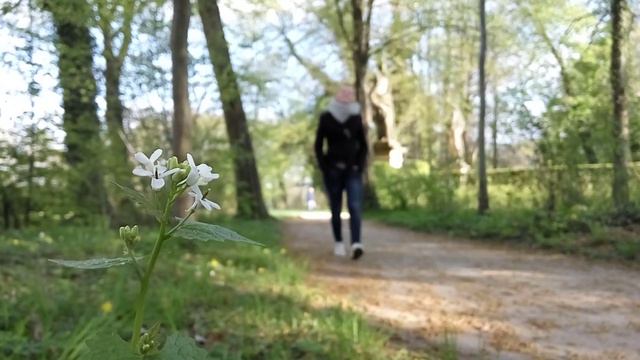 В летнем парке.mp4