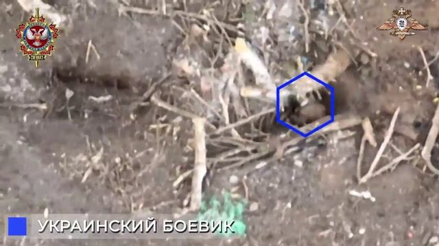Смерть с небес: спецназ уничтожает пехоту ВСУ в боях у Артёмовска