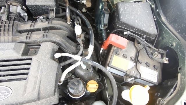 SUBARU Forester 2.0 и 2.5 | самый полный обзор и тест драйв