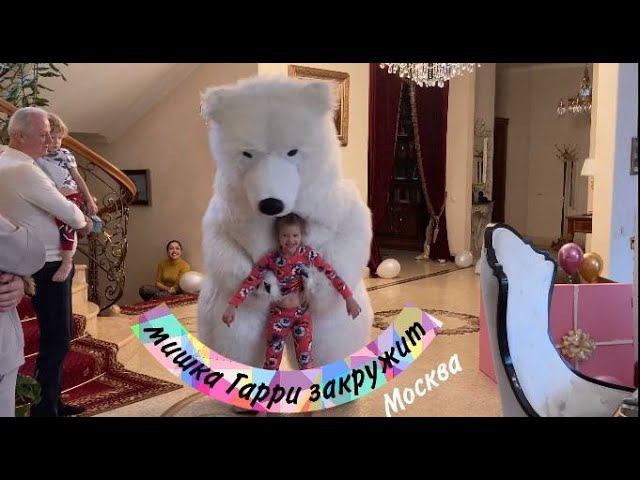 Заказали аниматора на дом Мишка гарри поздравил девочку Москва #аниматор #надому #мишка