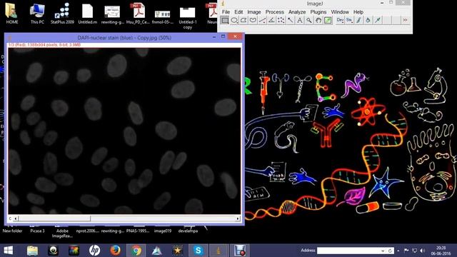 How to convert grayscale image to colored image using Image J