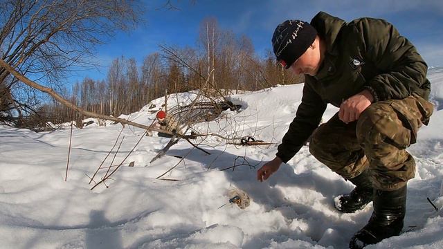 Лесная братва. Приключения начинаются.