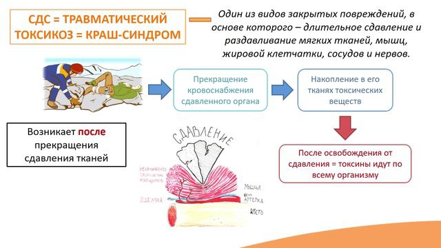 12.2. Травматический шок и синдром длительного сдавления (краш-синдром)