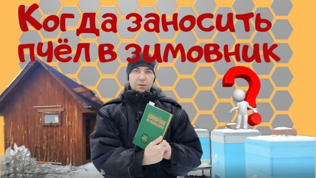 Когда заносить пчел в зимовник. - Как должен сидеть клуб пчел.