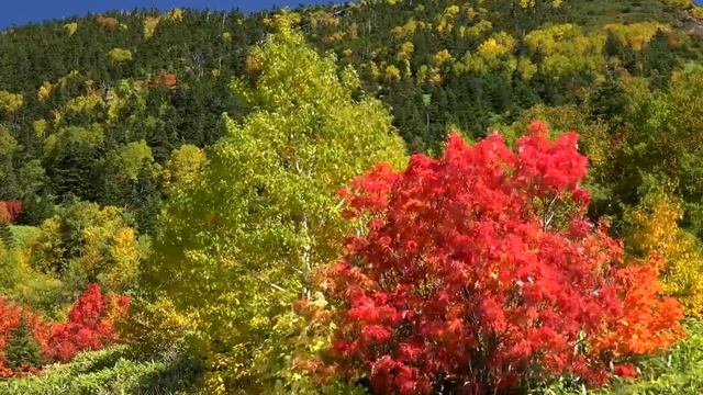 Музыка для души, Осень