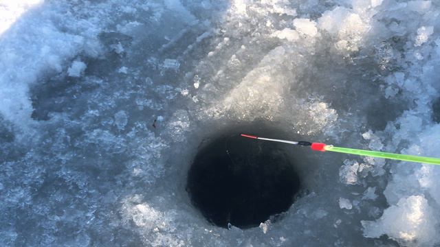 ЭТА ПРОВОДКА МОРМЫШКИ НЕ ОСТАВИТ БЕЗ РЫБЫ!!! Проводки мормышки. Как играть мормышкой