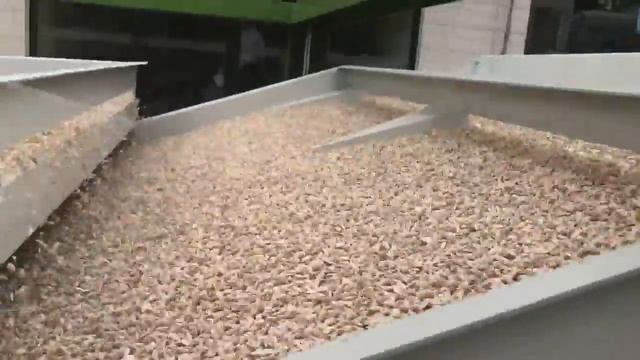 Шелушильная линия для подсолнечника