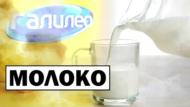 Галилео | 0096 Почему не киснет молоко из магазина?