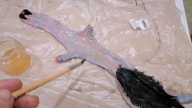 Чучело норки